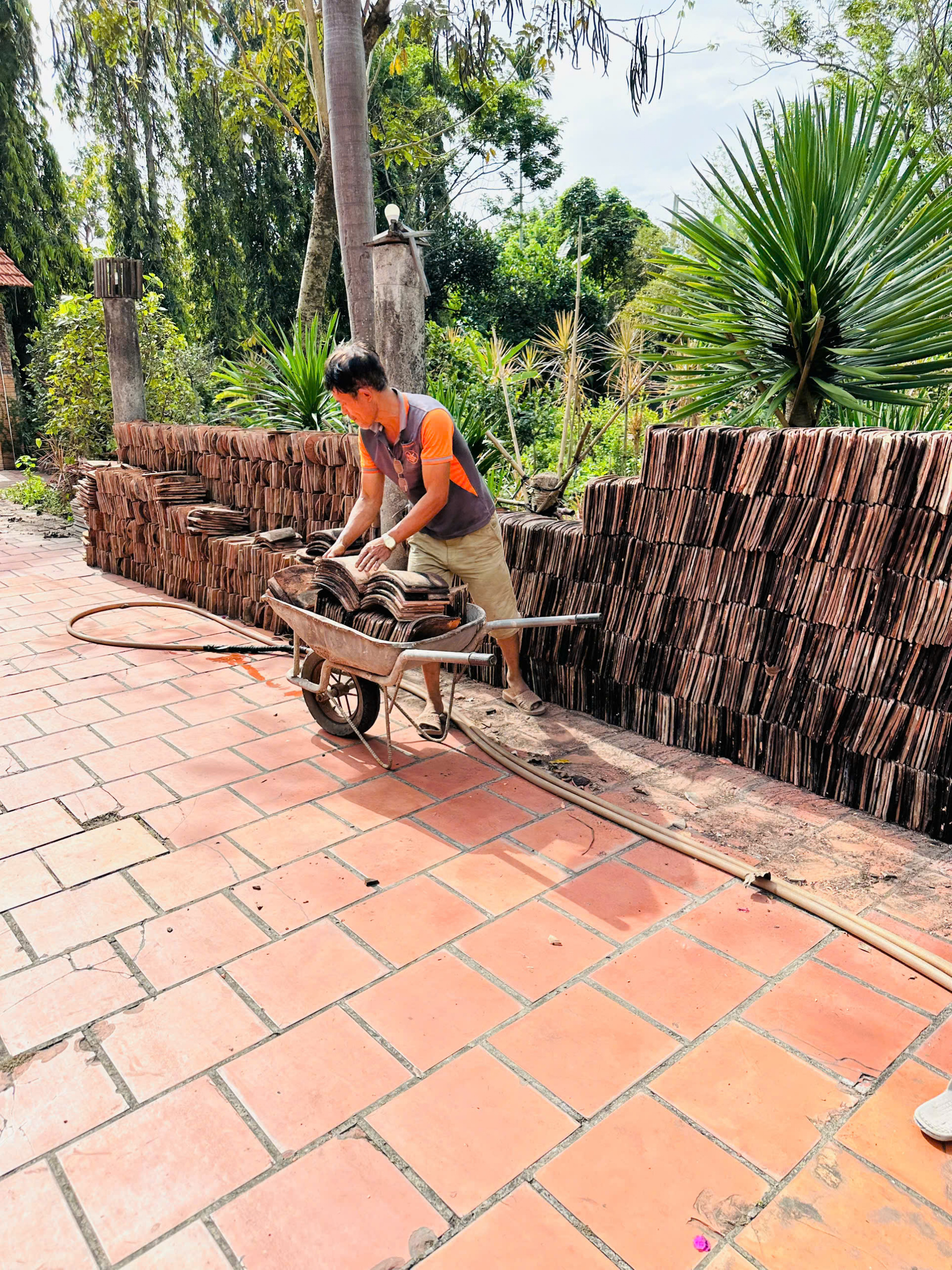 Kho Ngói Cổ Âm Dương & Ngói Vảy Cá Xưa Sẵn Có